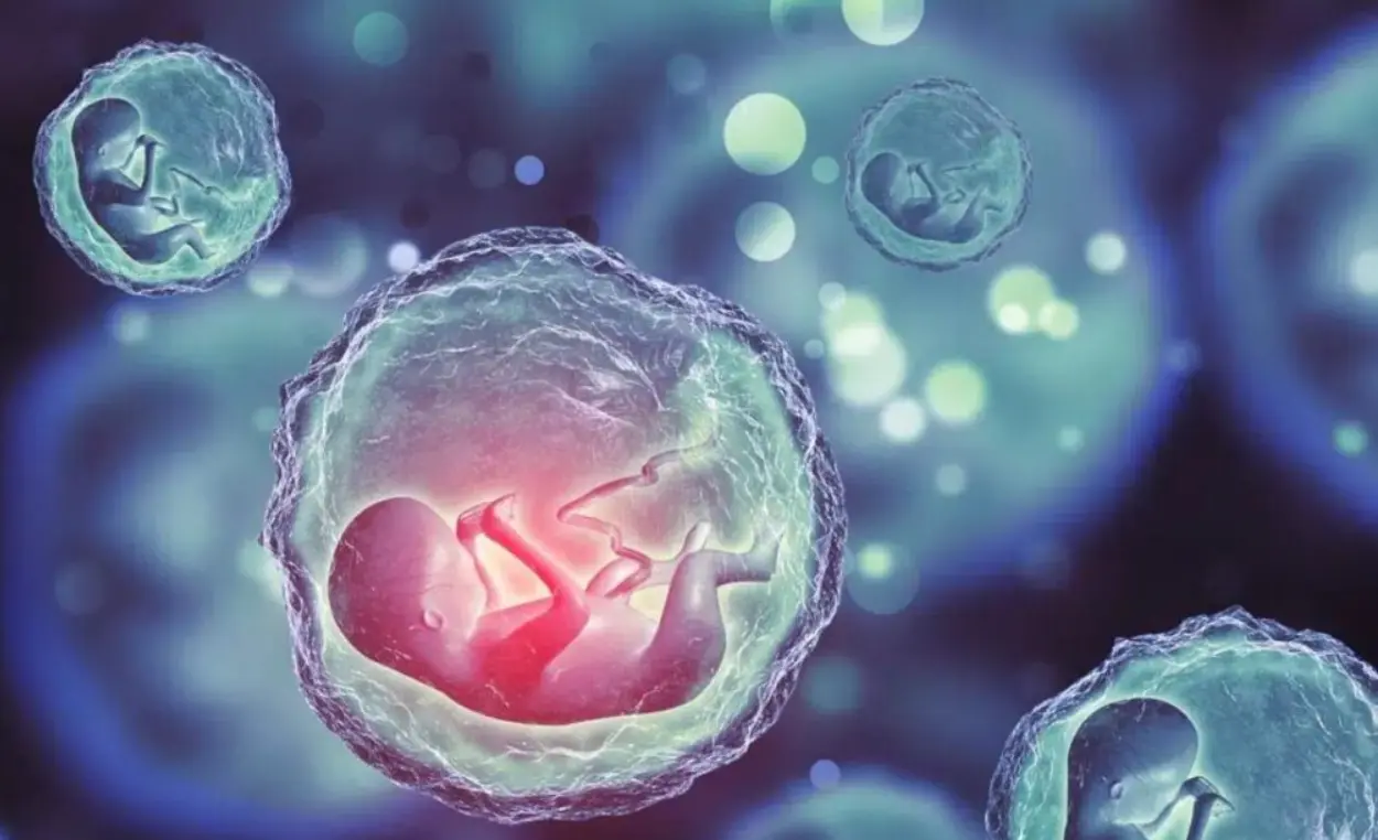 How Many Embryos Should Be Transferred?